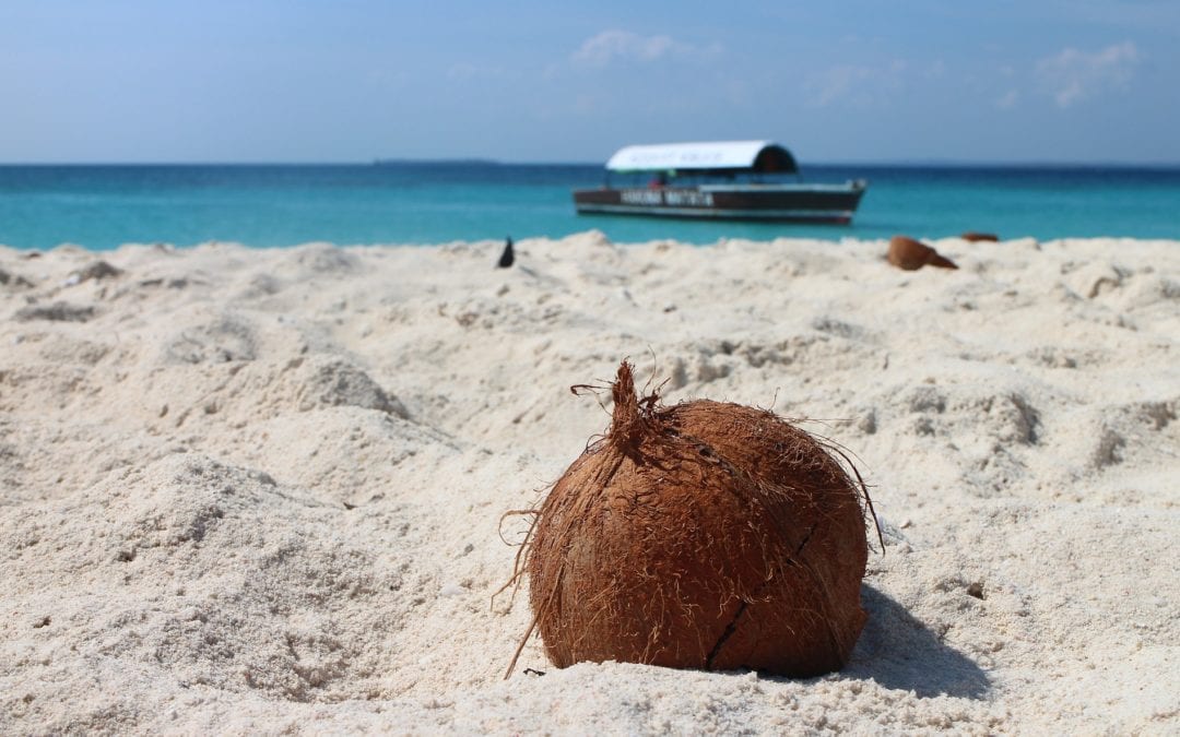 Coconut laying on a beach with a boat in the ocean