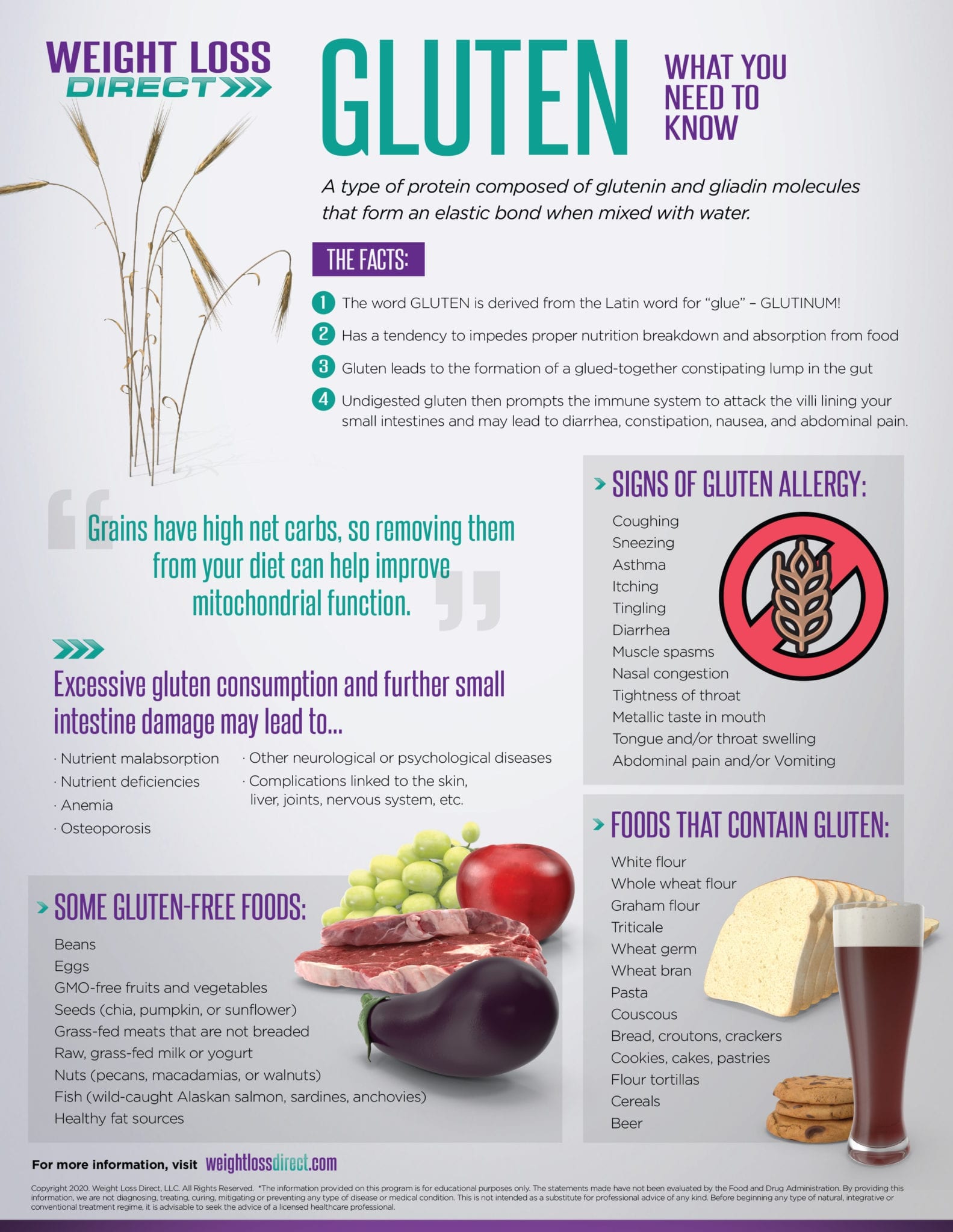 What Is Gluten and Why Do People Go GlutenFree? Weight Loss Direct