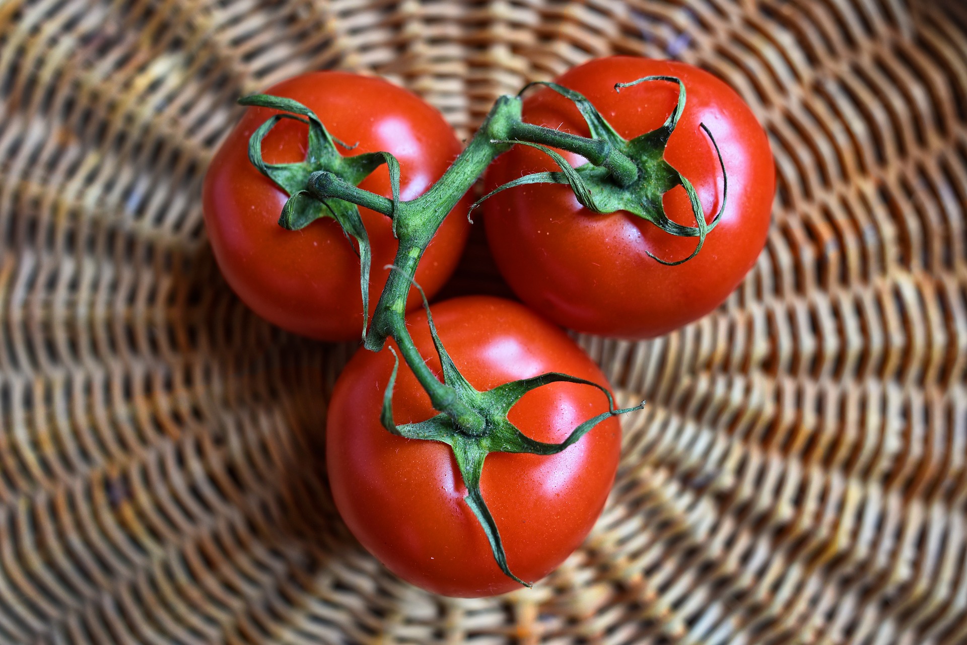 tomatoes from garden on wicker table