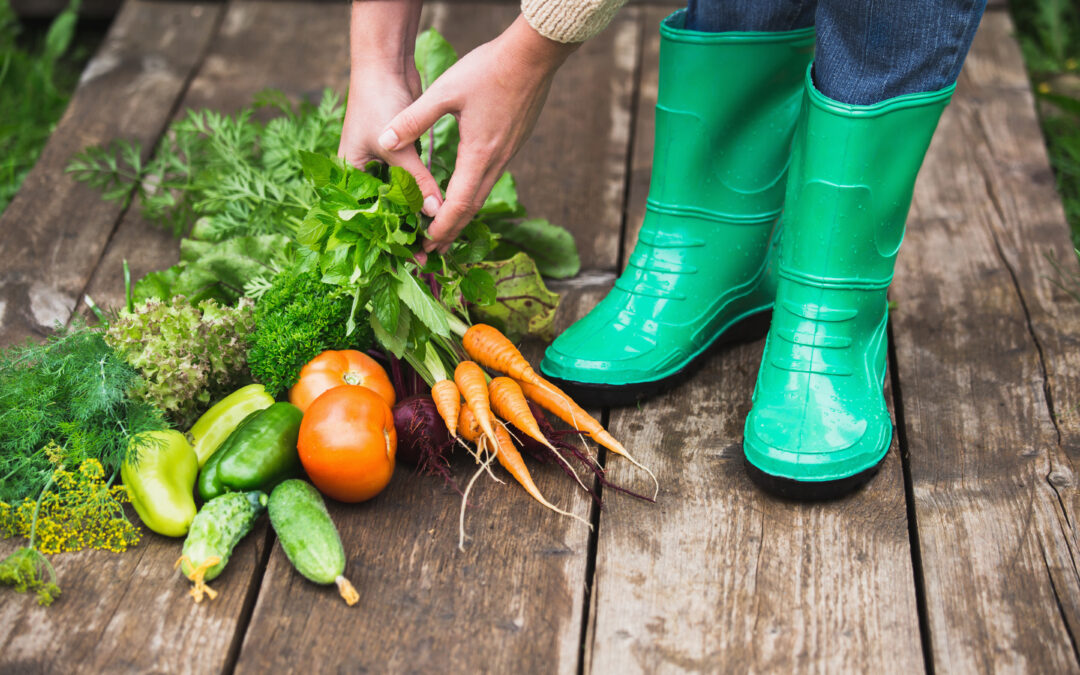 woman in rubber boots in the garden with vegetables