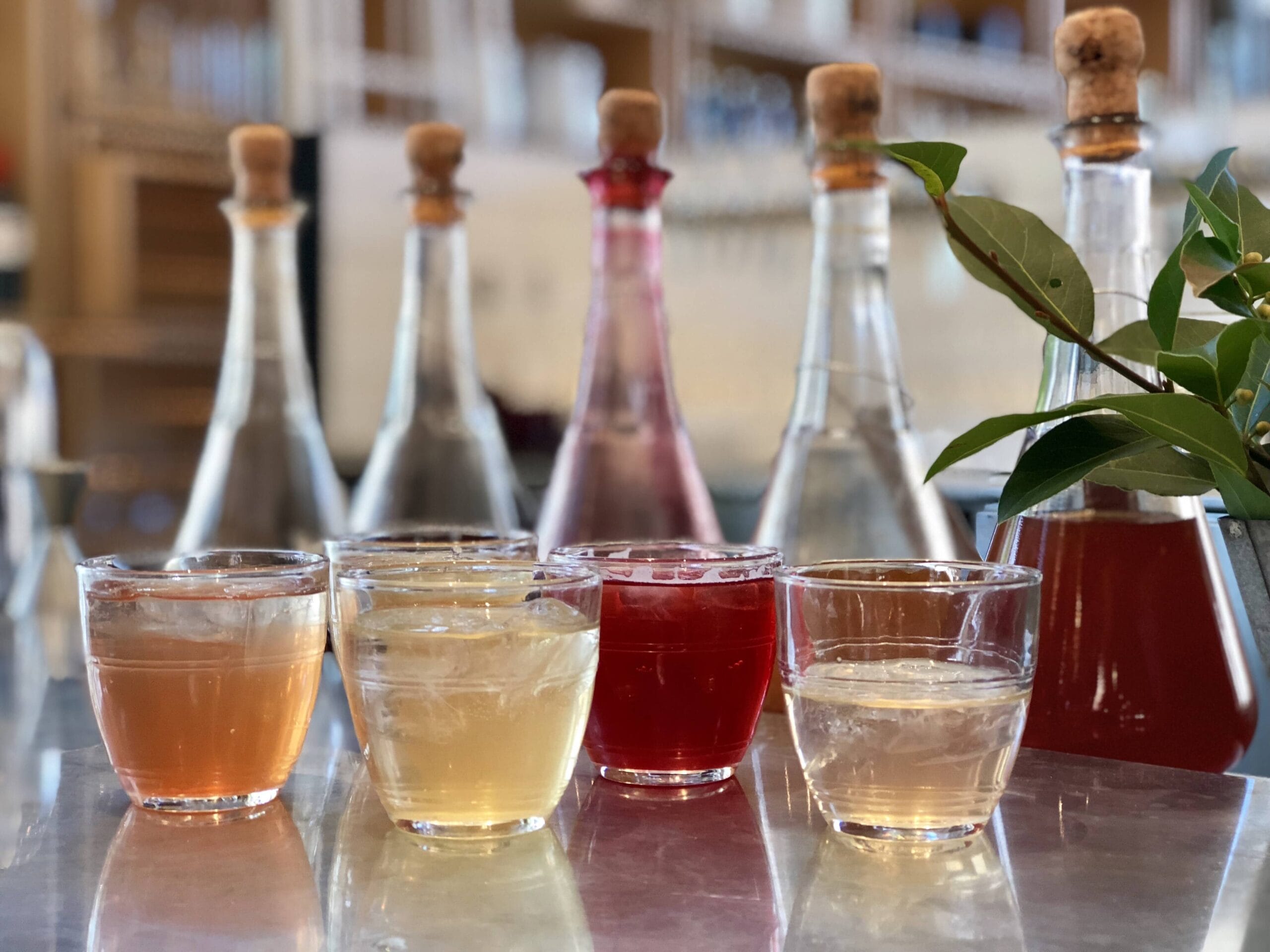 Row of kombucha drinks