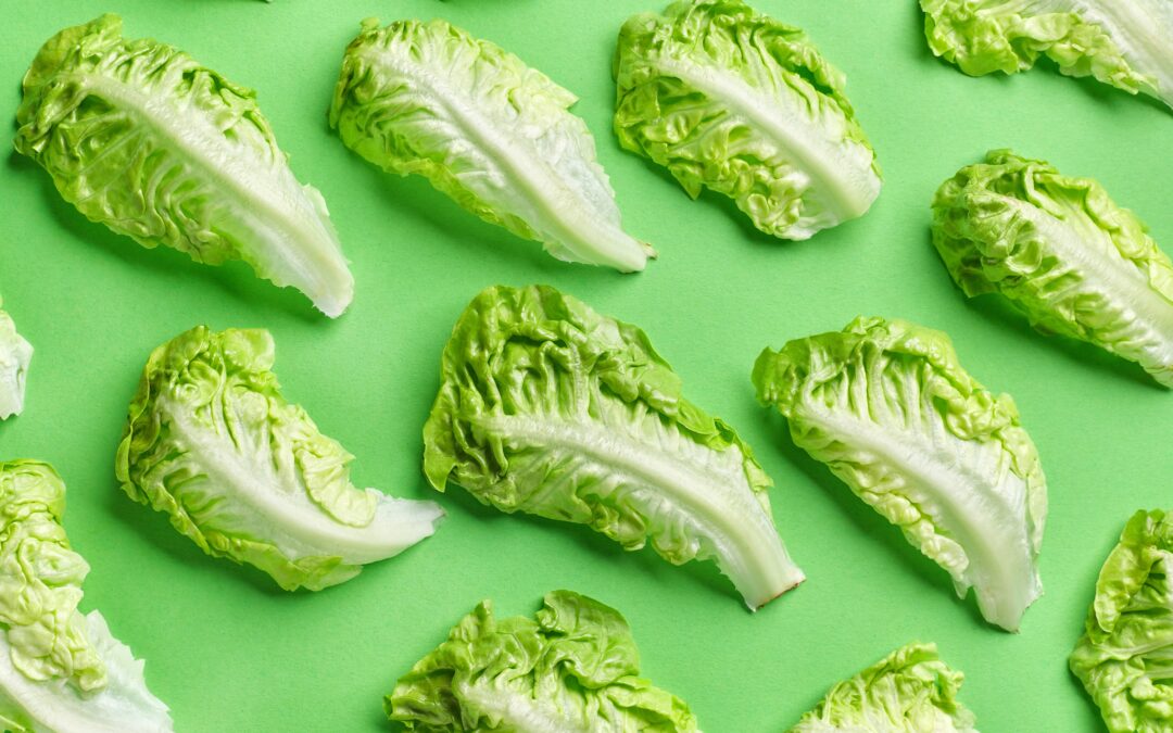 Lettuce bunches laying on a light green background
