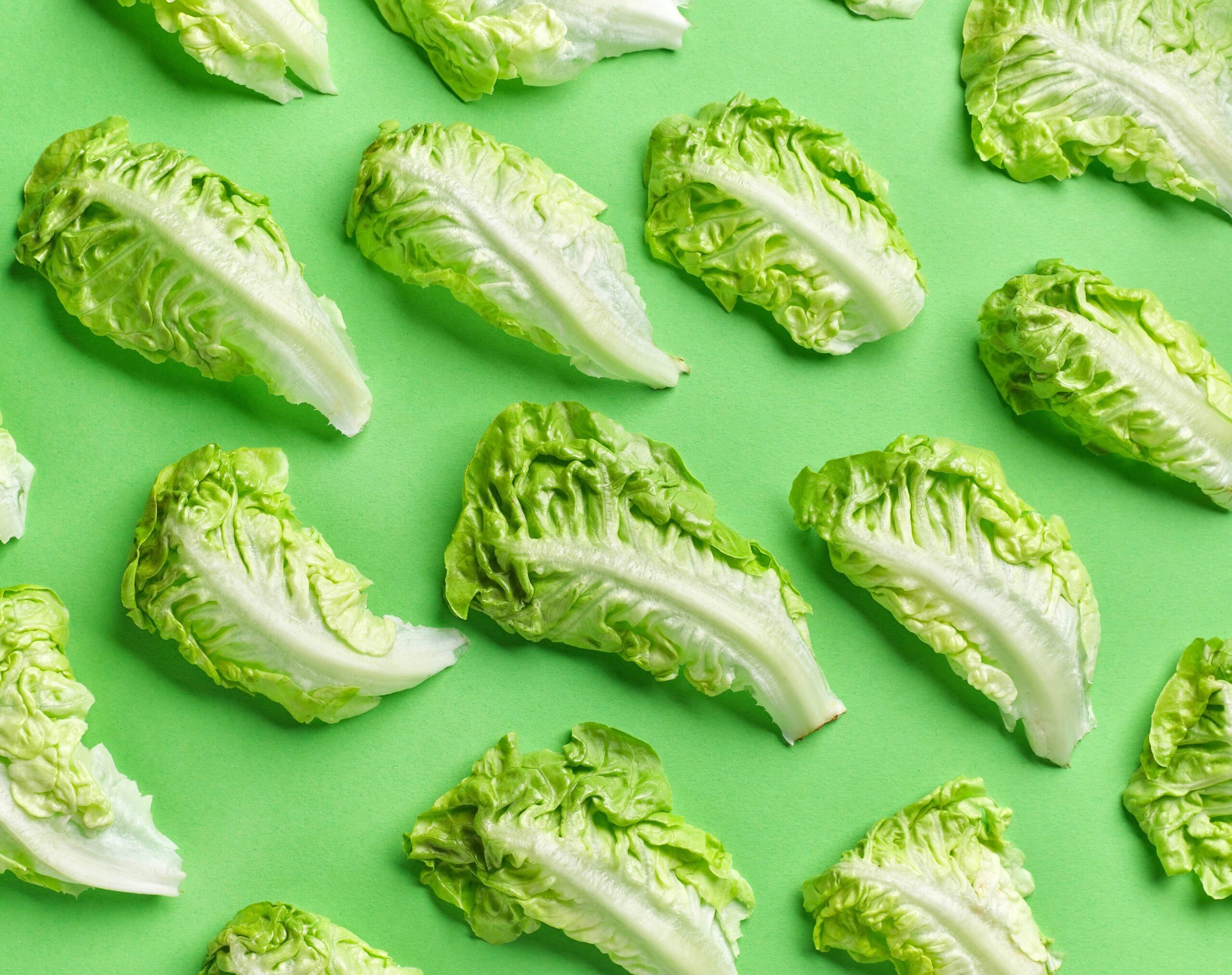 Lettuce bunches laying on a light green background