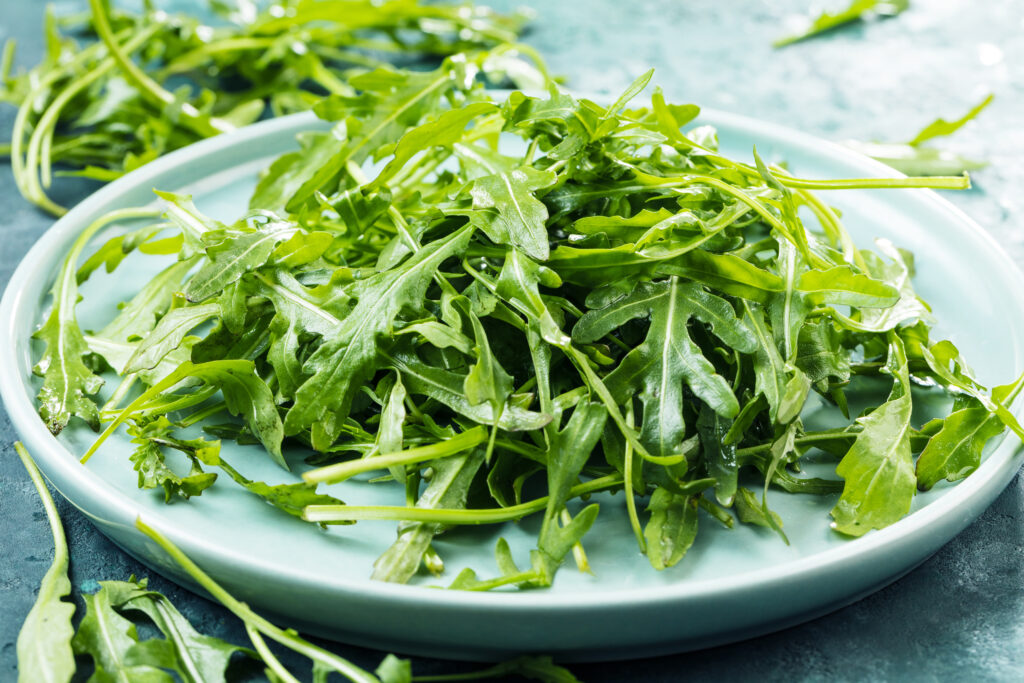 arugula on plate on concrete background