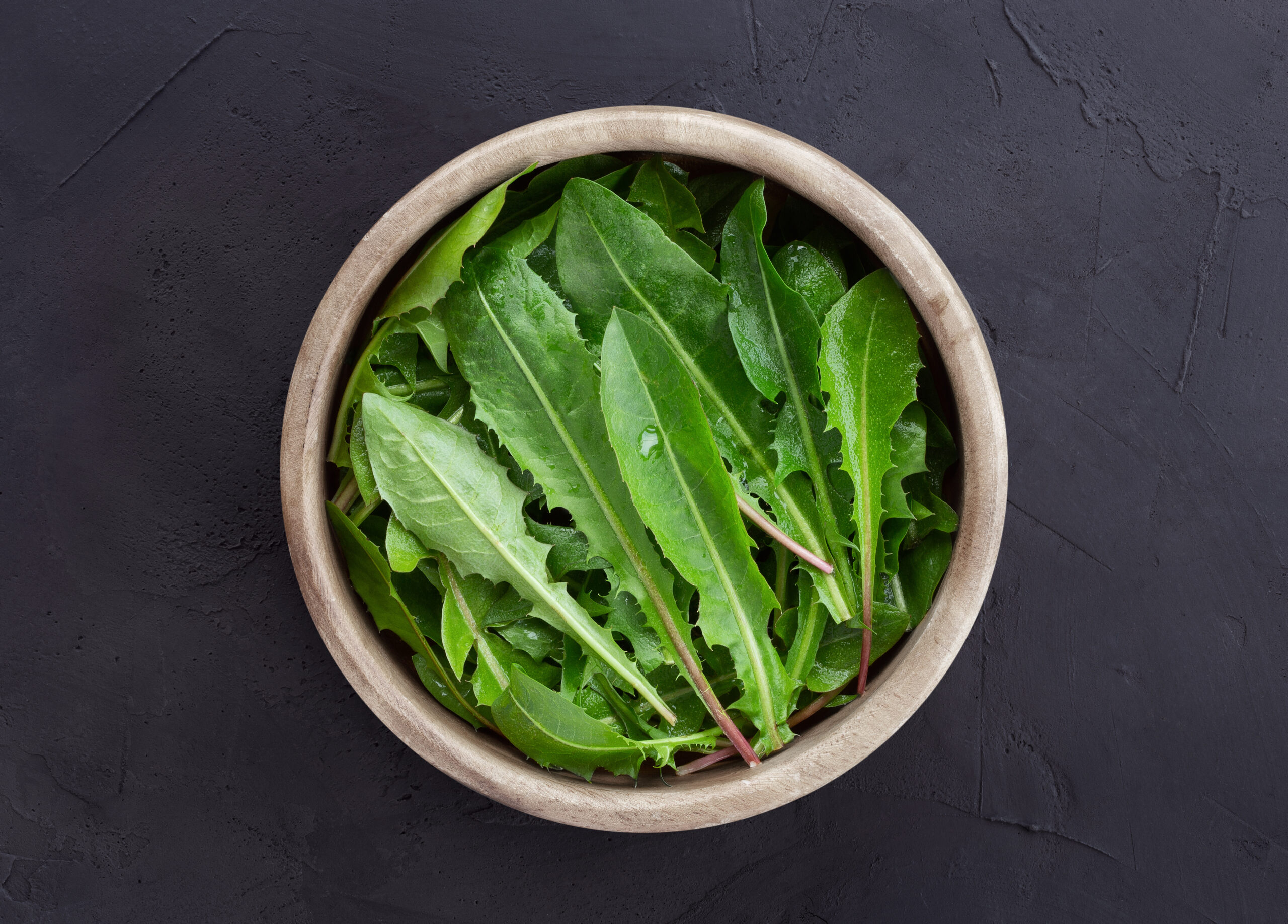 freshly picked dandelion leaves