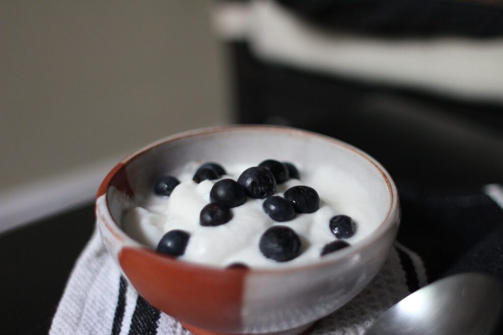yogurt_protein_bowl_with_blueberries
