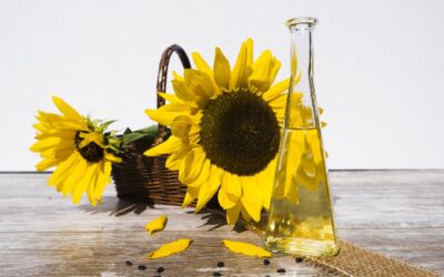 Are Seed Oils Healthy or Harmful? A Deep Dive into Nutrition