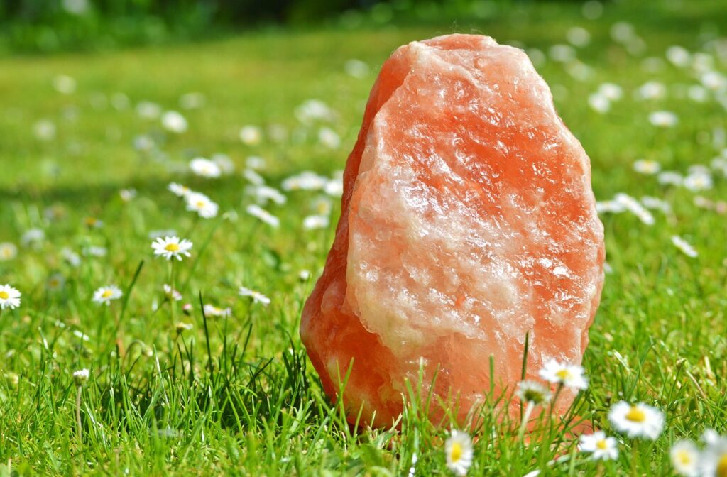 rock salt chunk in grass with flowers around