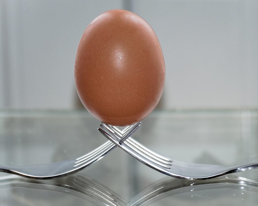egg balancing on two forks