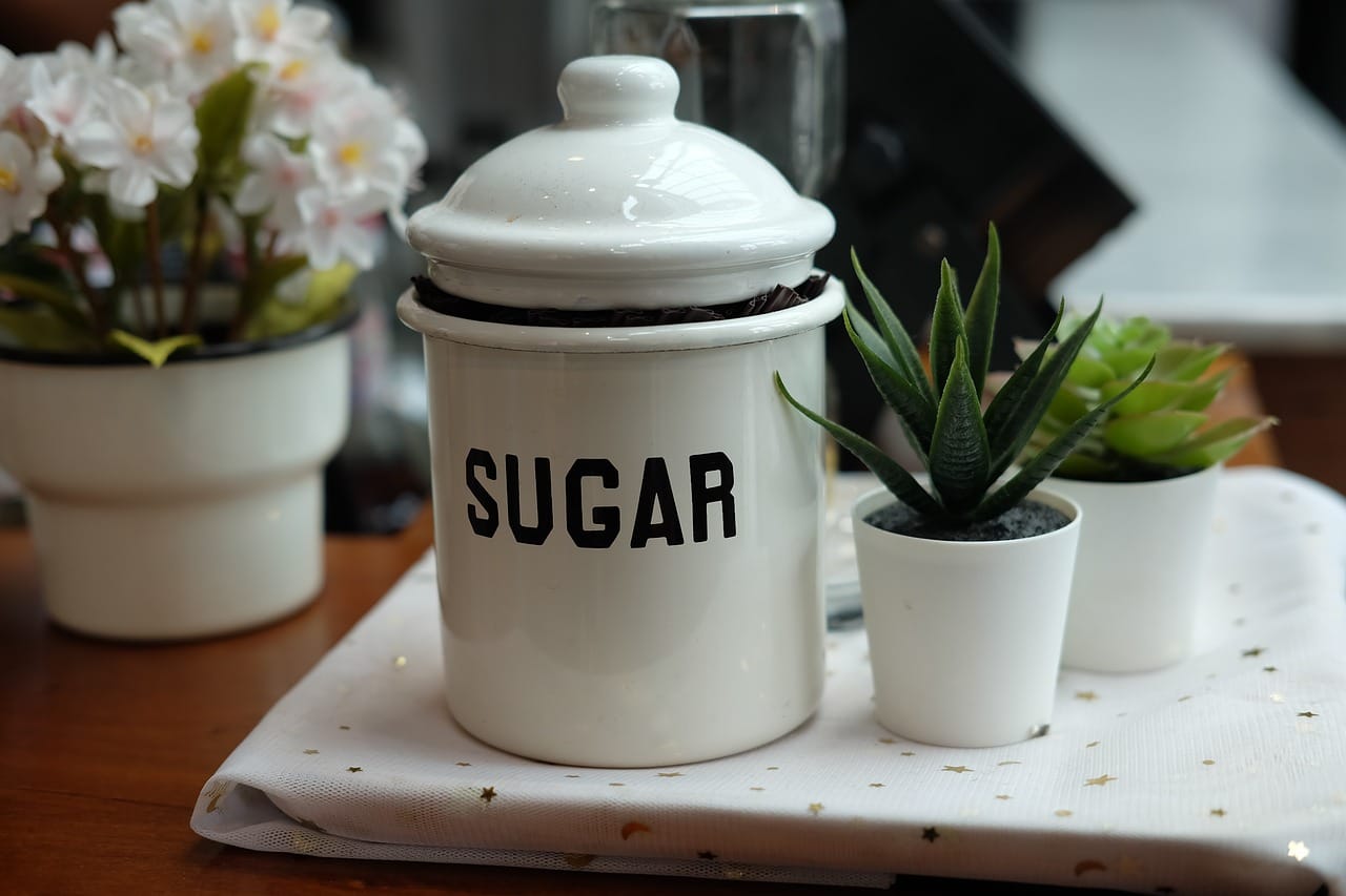 sugar jar on table beside mini plants