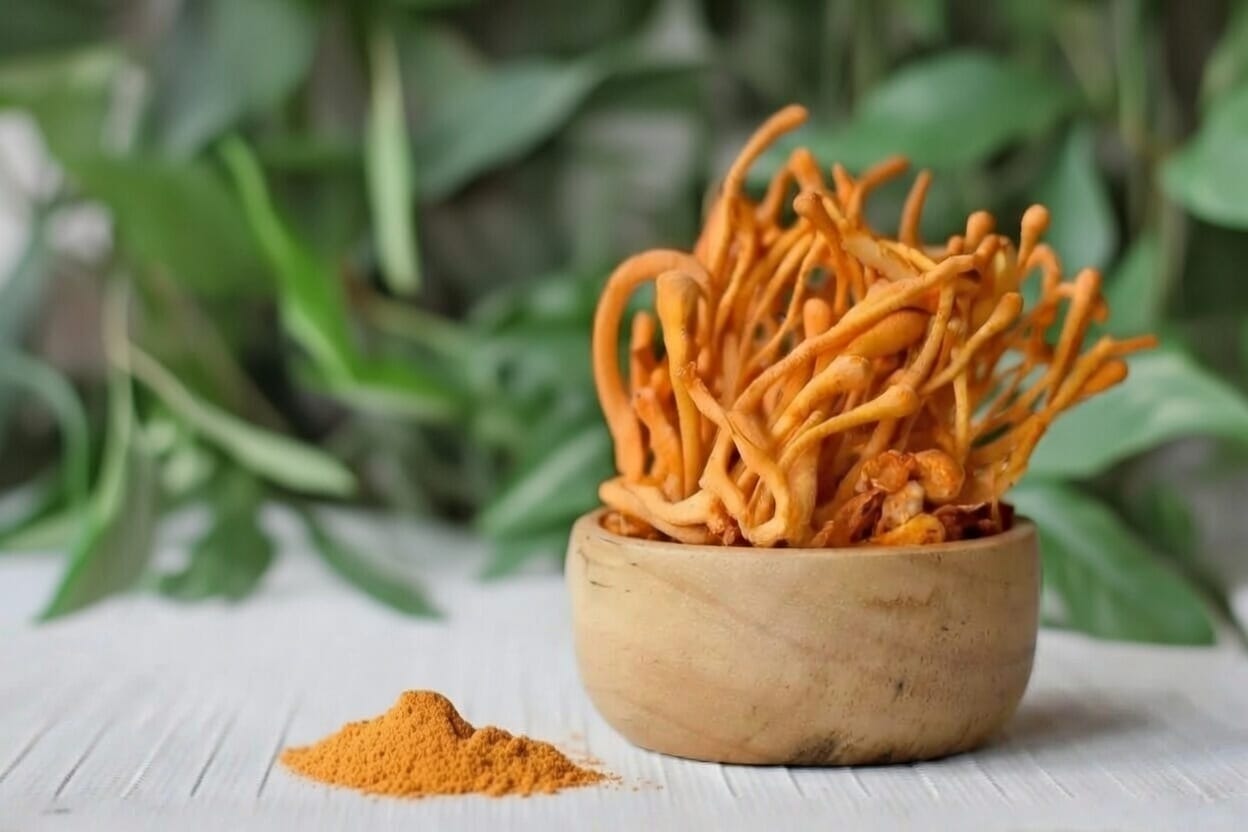 Cordyceps extract supporting cellular energy and hydration